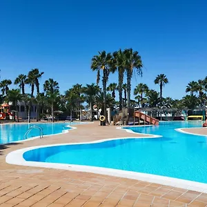 Gala , Corralejo España